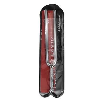 Amazon.com: Bitray A440Hz Tuning Fork Standard A 440 Hz